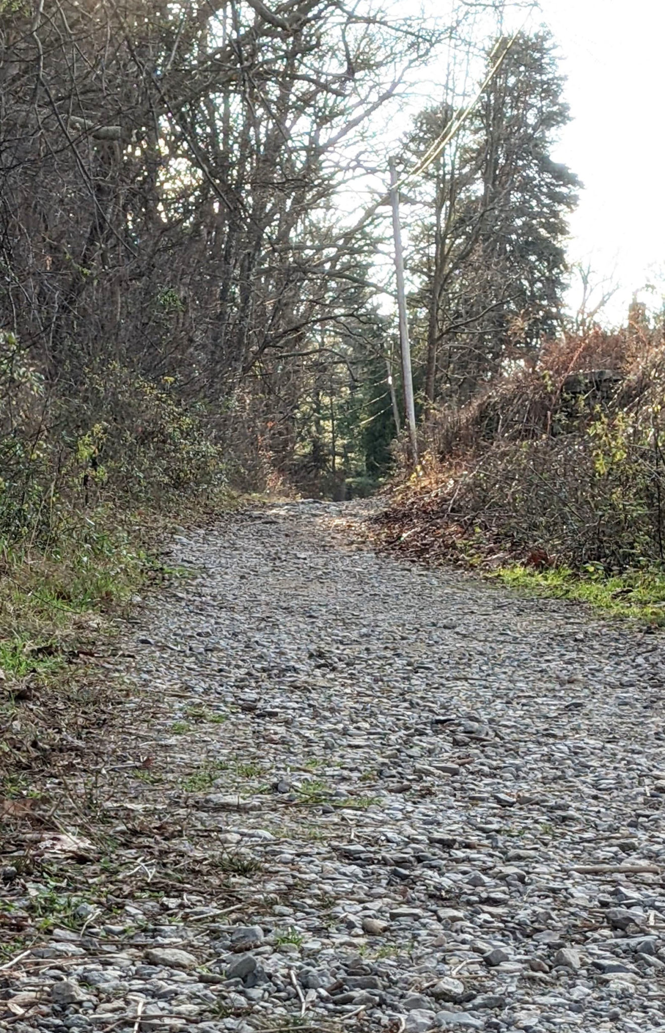 Home Pennypack Fulfillment