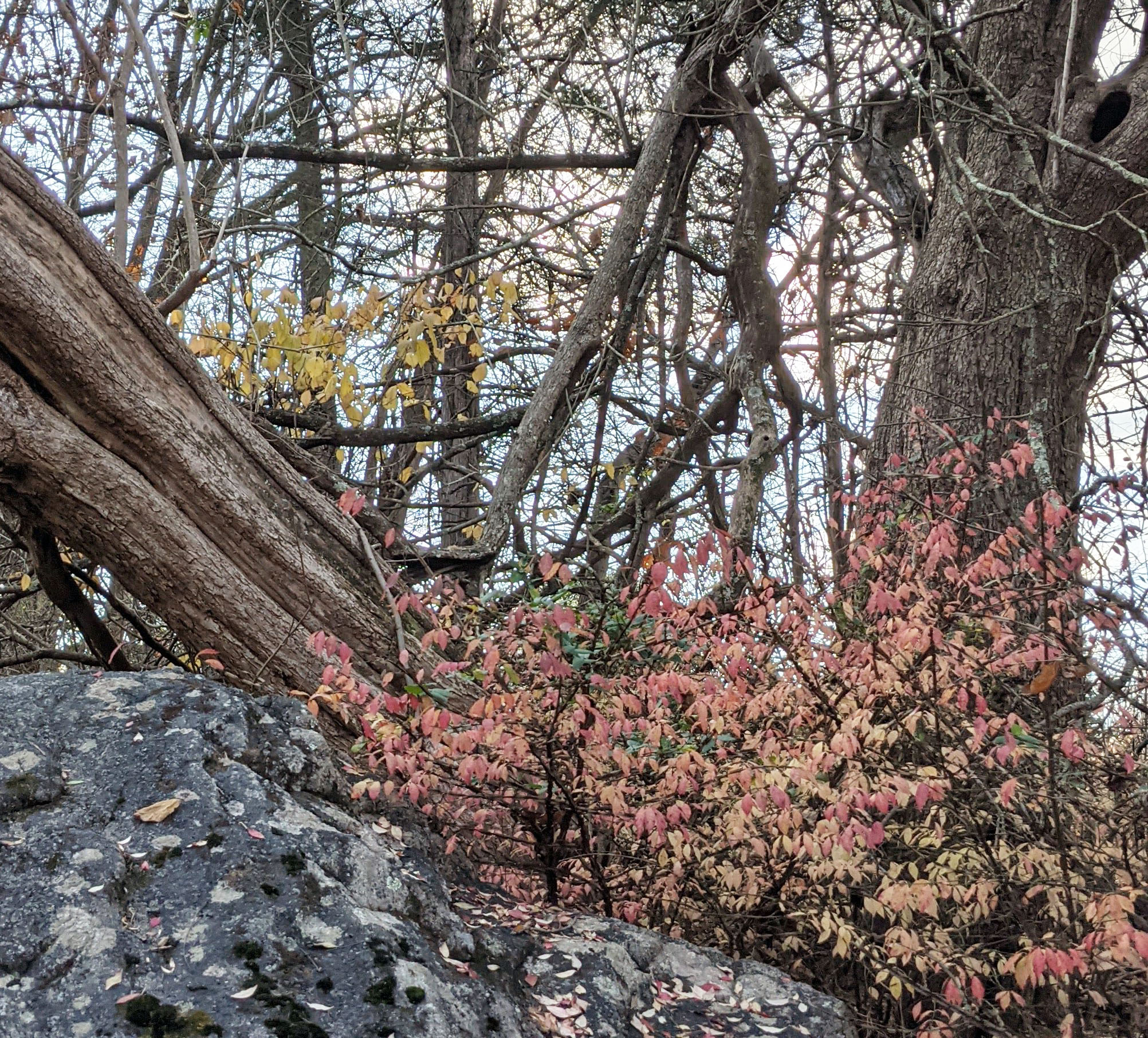 Home Pennypack Fulfillment